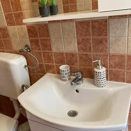 Apartment Znidaric